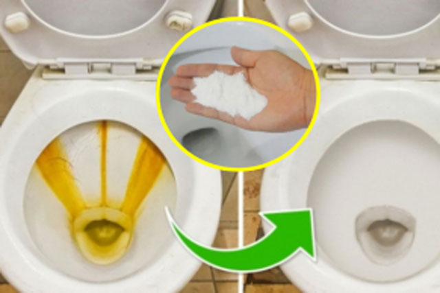 Bồn cầu, bồn rửa mặt ố vàng, cứ rắc thứ này lên rồi xả nước là sạch bong, sáng bóng như mới