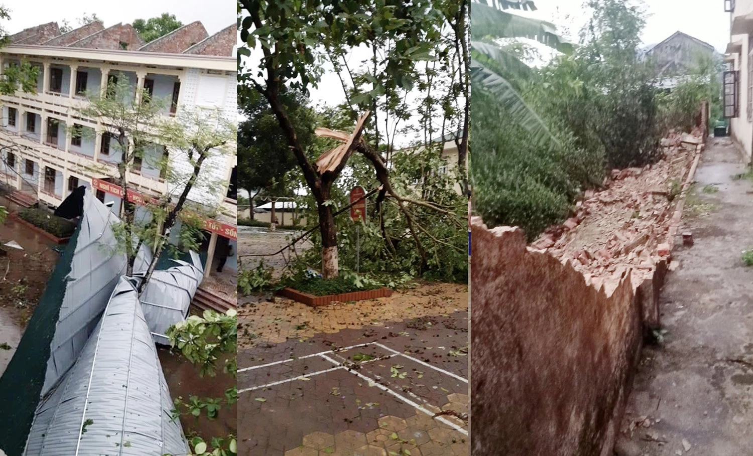 Nhiều ngôi nhà ở Nghệ An bị giông lốc tốc mái, cây cối đổ gãy.