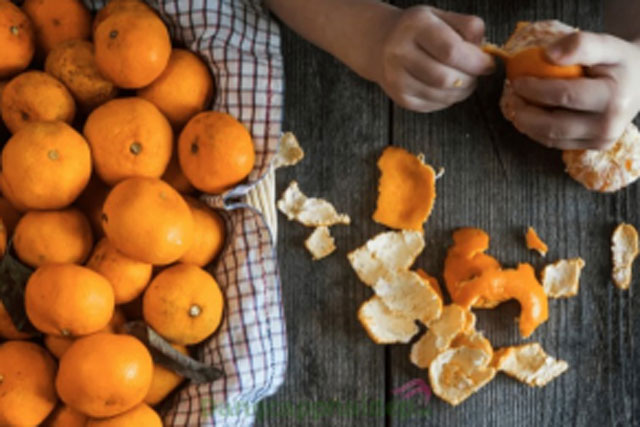 Người xưa nhắc: Bộ phận của quả quýt quý như vàng, sánh ngang với nhân sâm vì rất bổ đừng vứt đi