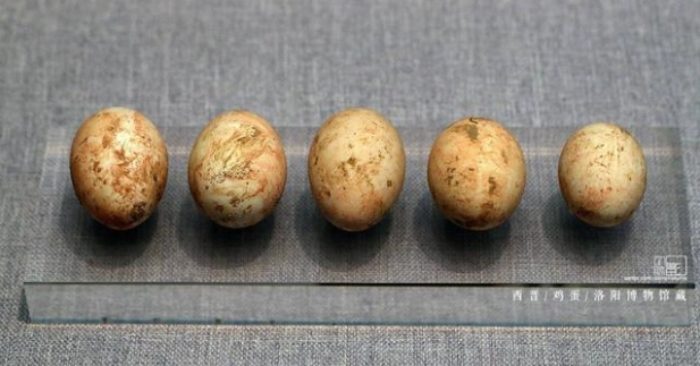 Quý tộc xưa thường bỏ trứng gà vào lăng mộ khi chôn cất