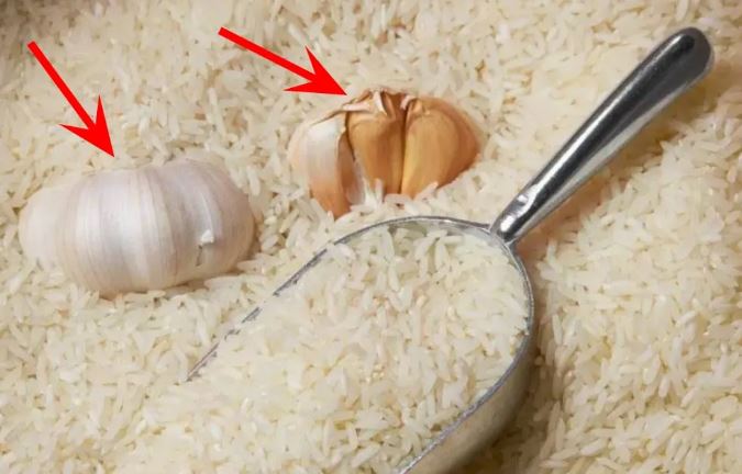 Vùi củ tỏi vào thùng gạo mang lợi ích bất ngờ, biết công dụng ai cũng muốn học theo