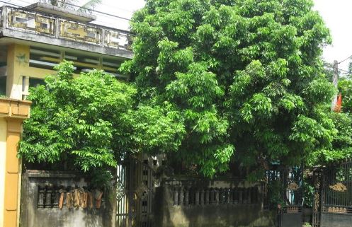 Nhà có 5 thứ này sát khí cao: Báo hiệu tài lộc đi xuống sớm muộn cũng nợ ngập đầu, khắc phục ngay