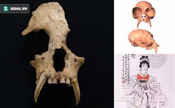 Khám phá bí ẩn về 'sinh vật lạ' bên trong lăng mộ bà nội Tần Thủy Hoàng