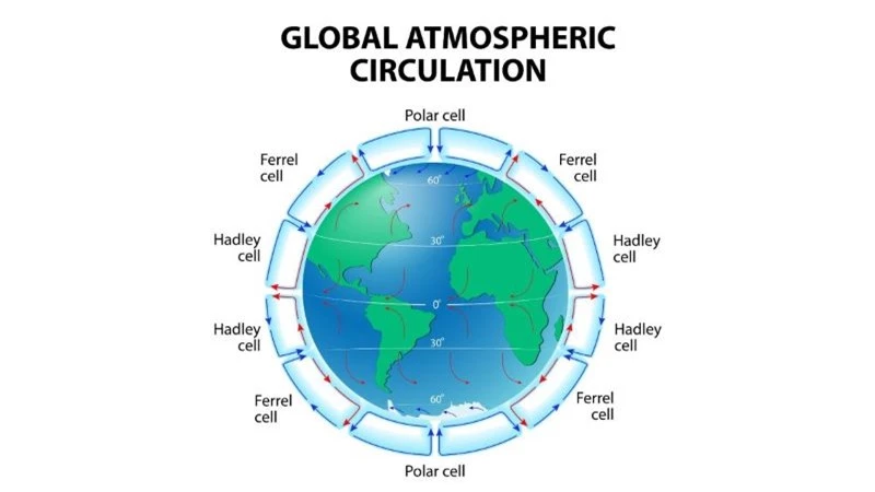 Hình minh họa hướng di chuyển của không khí trong vòng hoàn lưu Hadley. Ảnh: Designua/Shuttstock