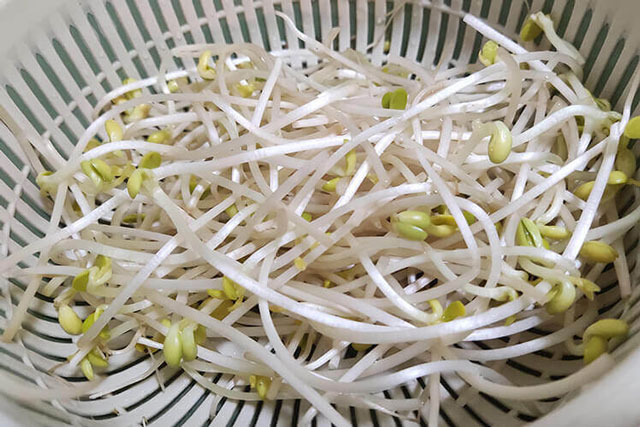 Mua giá đỗ chọn loại ngắn hay dài: Người trồng chỉ điểm mấu chốt, biết ngay đâu là giá sạch