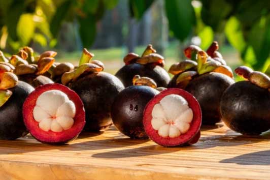 Loại quả giải nhiệt, giúp phụ nữ trẻ lâu, còn phòng chống ung thư