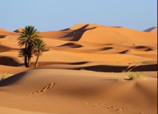 Vì sao sa mạc lại khô?