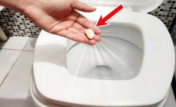Ném tép tỏi vào bồn cầu: Mẹo hay nhà nào cũng cần, tưởng lãng phí hóa ra hiệu quả bất ngờ