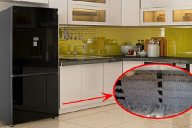 Tủ lạnh có 1 cơ quan nhỏ, làm sạch 6 tháng 1 lần giúp tiết kiệm điện, máy bền, lâu hỏng