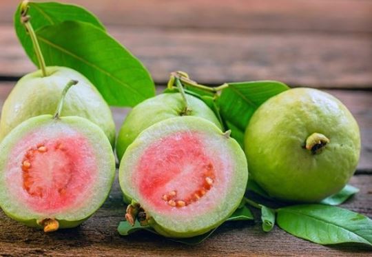 Chuyên gia khuyến cáo hạn chế ăn ổi một số trường hợp