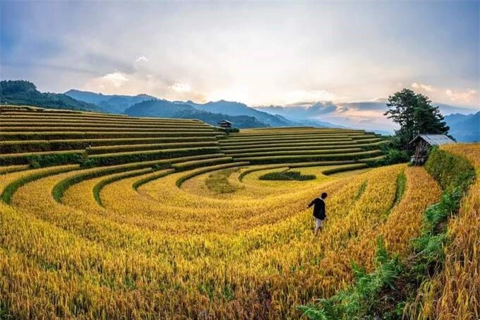 mu cang chai Giadinhonline (3)