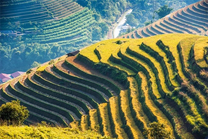 mu cang chai Giadinhonline (4)