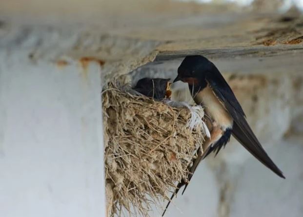 6 điều này xuất hiện trong nhà báo hiệu cuộc sống đang phất lên, tiền về đầy ví