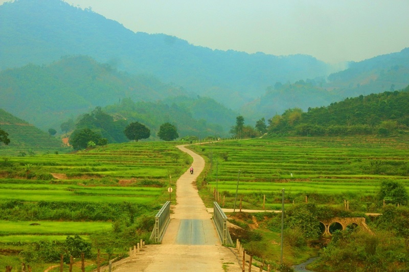 Ruộng bậc thang ở Đam Rông.