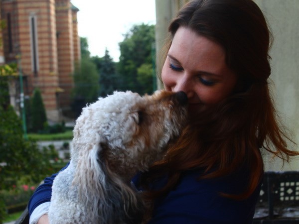 Bốn cách huấn luyện chó đơn giản và kết quả không ngờ