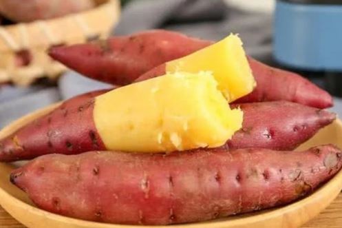 Khoai lang – vị thuốc quý nhiều người chưa biết