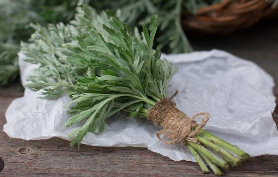 4 món rau "bán đầy chợ" phụ nữ nên ăn để điều hòa kinh nguyệt, dưỡng tử cung