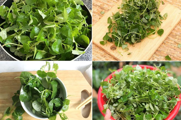 Loại rau mọc dại ở Việt Nam sang Nhật bán giá “cắt cổ”, cực tốt cho sức khỏe nhiều người không biết mà ăn