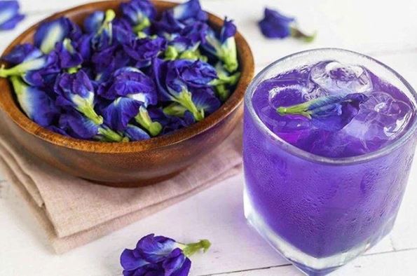 Đây là bộ phận có chứa độc tố của cây hoa đậu biếc, nên thận trọng