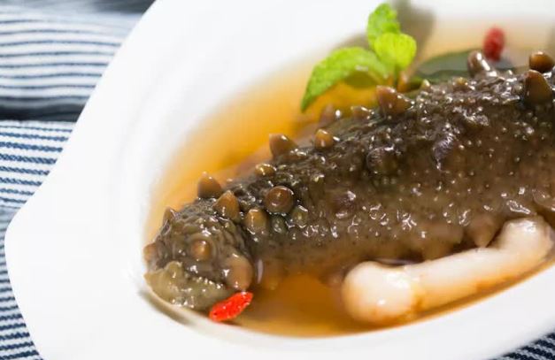 Loại động vật xấu xí được ví là “nhân sâm của biển cả”, bổ tim gan lại ngừa cả ung thư