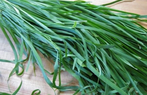 Loại cây họ hành là "thuốc" quét mỡ cho gan, khoẻ tiêu hoá