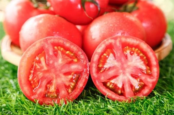 Khi mua cà chua nên chọn loại 'vỏ cứng' hay 'vỏ mềm'? Mùi vị rất khác nhau, tìm hiểu kỹ để không mua tùy tiện - Ảnh 6.