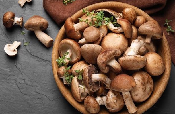 Mẹo hay giúp bạn bảo quản nấm