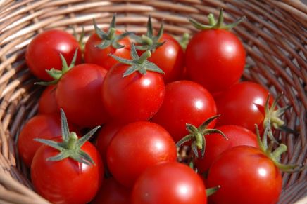 Cần ghi nhớ 11 công dụng tuyệt vời của cà chua