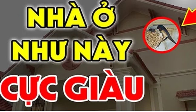 Nhà có 3 điều này: Chúc mừng bạn đất có “long mạch” tốt càng sống càng giàu ú ụ