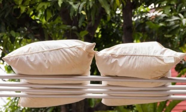 Ruột gối ngả vàng đem ngâm với thứ này, bẩn mấy cũng sạch tinh tươm