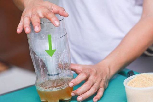 Muỗi sợ nhất loại nước này, đặt một bát trong phòng, cả đêm không con nào dám vo ve