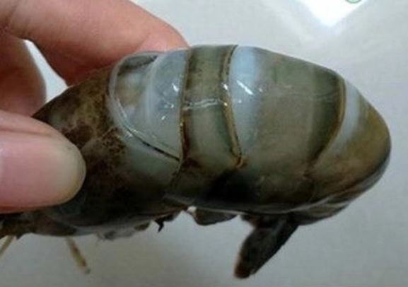 Người bán chỉ cách phân biệt tôm nuôi và tôm tự nhiên: Chỉ nhìn qua là phát hiện được ngay