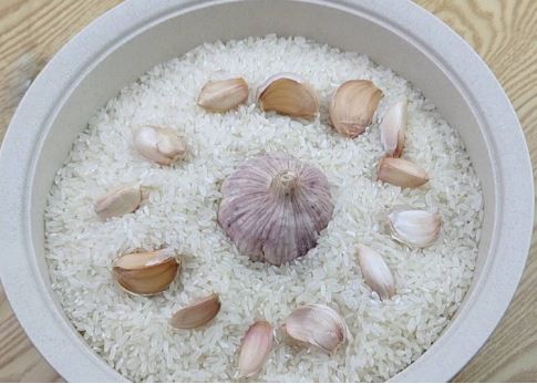 Vùi củ tỏi vào thùng gạo, ai cũng bất ngờ khi thấy kết quả