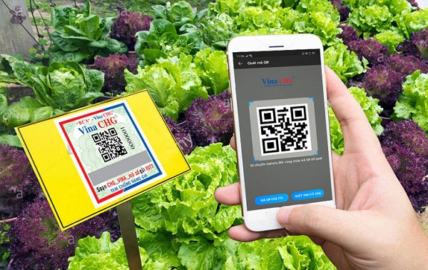 Doanh nghiệp xuất khẩu cần áp dụng tiêu chuẩn quốc gia về truy xuất nguồn gốc 