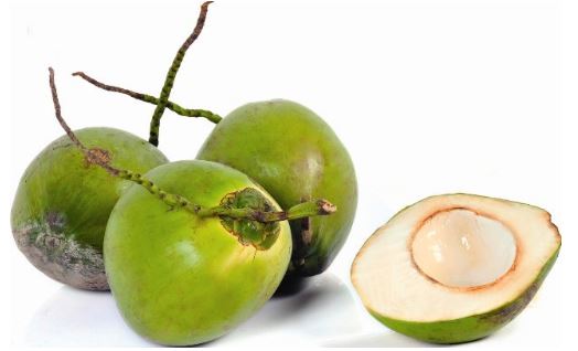 Những tác dụng của dừa đối với sức khỏe