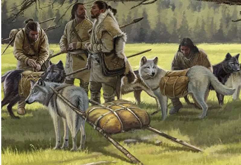 Truyện thần thoại hé lộ nguồn gốc xa xưa của mối quan hệ giữa con người và loài chó