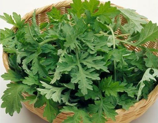 Mẹo đánh bay sẹo lồi chỉ với một nắm ngải cứu