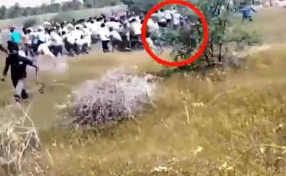 Thót tim nhìn báo hoa mai lao vào tấn công người dân