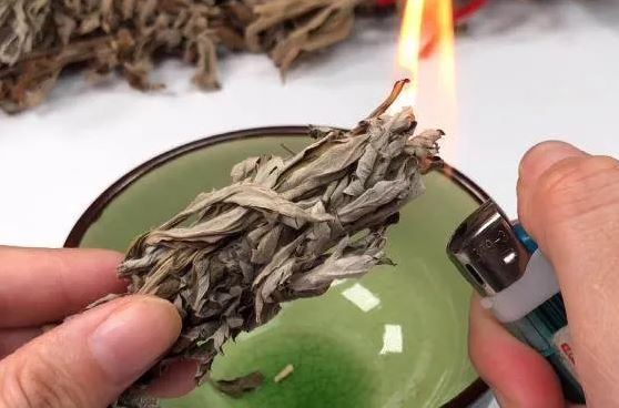 Lấy nắm lá này đặt trong phòng, cả đêm không nhìn thấy con muỗi nào, yên tâm ngủ ngon giấc