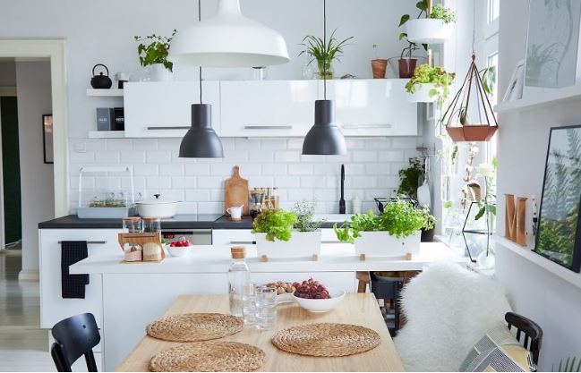 Trong bếp có 3 thứ này là đại cát, cuối năm làm gì cũng may mắn, sang năm phát tài phát lộc