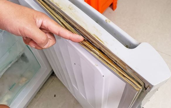 Gioăng cao su tủ lạnh tích đầy cặn bẩn, mốc đen: Làm theo cách này chỉ 5 phút sau là sạch bong