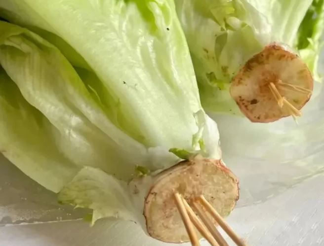 Cắm tăm vào cuống rau xà lách: Mẹo kỳ lạ nhưng tác dụng kỳ diệu, không biết thật là phí