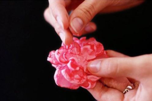 Cách làm hoa cài đầu xinh như thiên thần chỉ với 5 phút