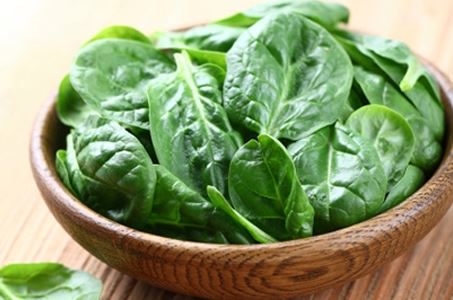 Tác dụng chữa bệnh của cây mồng tơi có thể bạn chưa biết