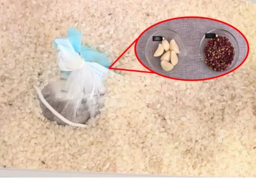 Bỏ thứ này vào thùng gạo, để cả năm không sợ mọt, cơm vừa dẻo vừa thơm