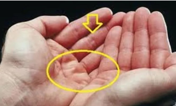 Người lắm nghiệp ít phúc, càng già càng nghèo khổ, lòng bàn tay thường có 4 điểm rất xấu