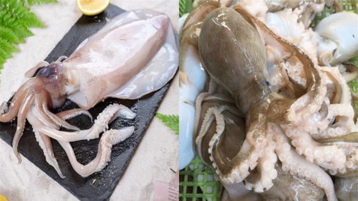 Điểm danh những loài động vật có trái tim kỳ lạ nhất thế giới - 1