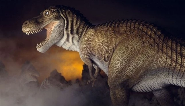 Top 10 sự thật ít người biết về loài khủng long ăn thịt đáng sợ nhất thế giới ảnh 3