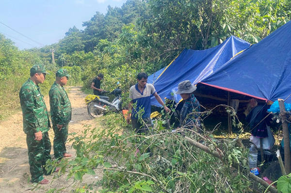 Đà Nẵng: Ngăn chặn nhóm người khai thác lâm sản trái phép