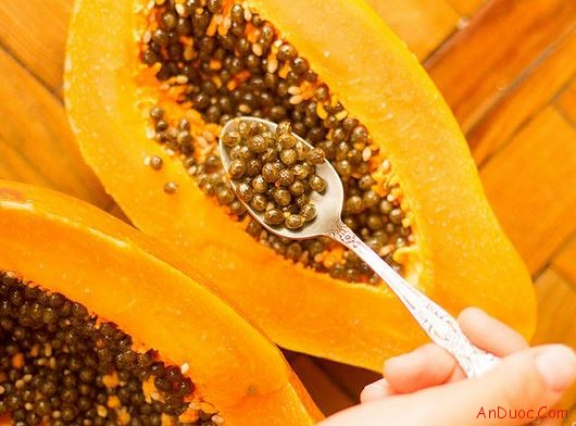 Những tác dụng trị bệnh hữu hiệu của hạt đu đủ có thể bạn chưa biết